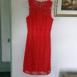 Poppy colored lace dress.